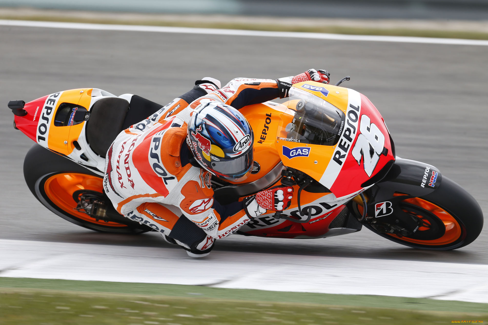 , , motogp, 2013